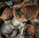 bunch-of-coconut-husks.jpg bunch of coconut husks